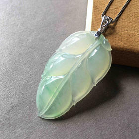 种飘阳绿翡翠叶子