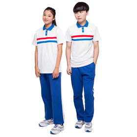 【美丽奥喀什市校服】喀什 高中夏季运动服套装