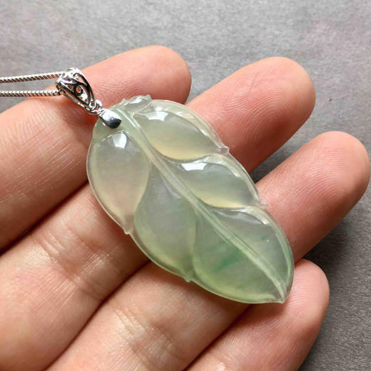 种飘阳绿翡翠叶子 商品图5