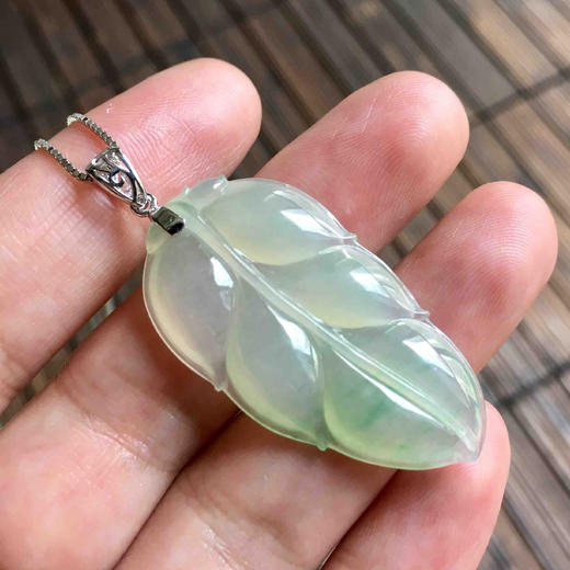 种飘阳绿翡翠叶子 商品图7