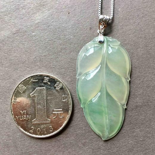 种飘阳绿翡翠叶子 商品图3