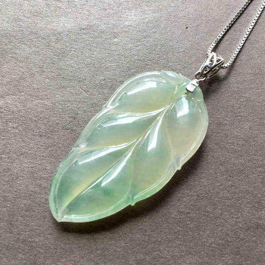 种飘阳绿翡翠叶子 商品图4