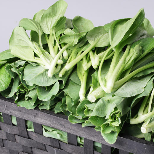 小油菜300g 商品图2