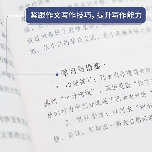 奇遇经典文库-格兰特船长的儿女 中小学生课外阅读书 10-18岁儿童文学 商品图5