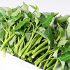 懒人蔬菜包(6种菜) 商品缩略图3