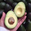 进口牛油果 1个 商品缩略图1