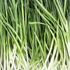 年卡-韭菜300g 商品缩略图0