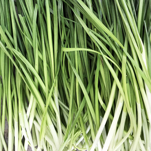 年卡-韭菜300g 商品图0