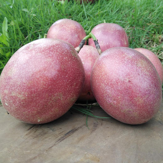 百香果 商品图1