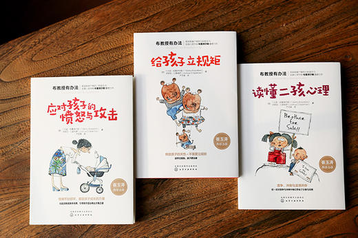 布教授有办法：二孩心理+给孩子立规矩+应对孩子的愤怒与攻击（套装3册） 商品图3