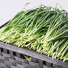 韭菜 300g 商品缩略图1