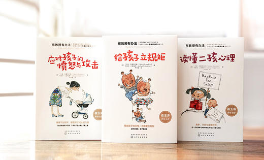 布教授有办法：二孩心理+给孩子立规矩+应对孩子的愤怒与攻击（套装3册） 商品图4