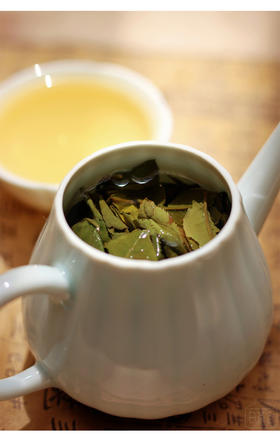 第04问：荒野白茶与有机白茶是一种茶吗？