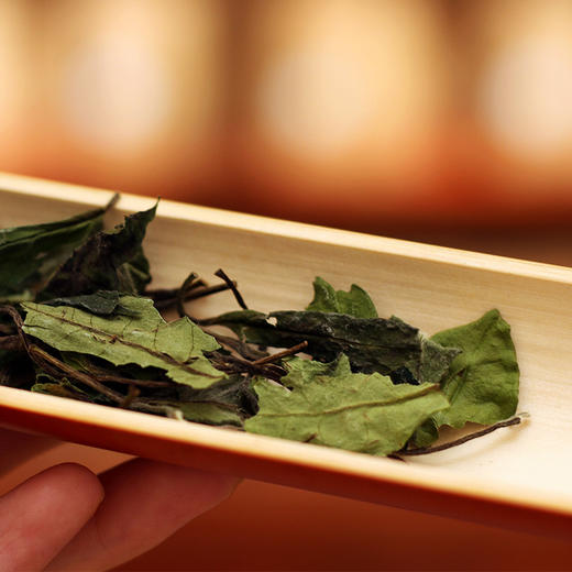 01期：开篇 商品图0