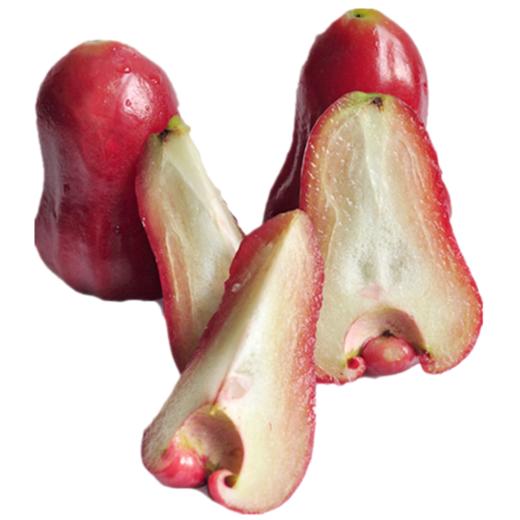 台湾莲雾 商品图3