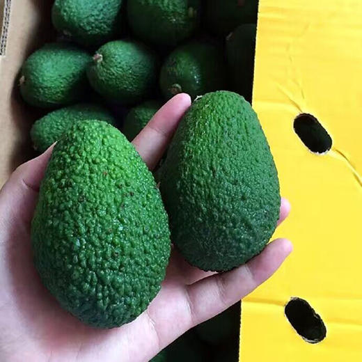 进口牛油果 1个 商品图2