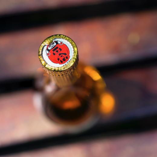 达磨正宗 熟成三年 古酒 商品图3