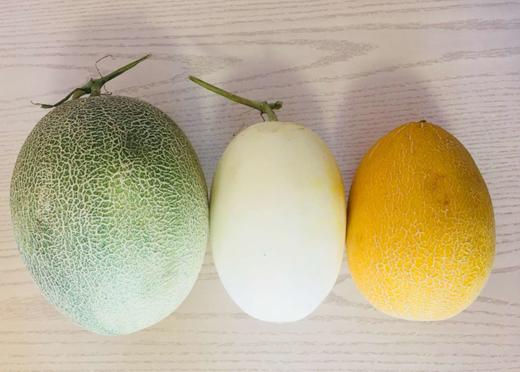 【直播活动】三色蜜瓜-  9-10斤  3个 装 商品图0