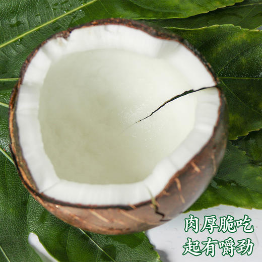 椰王 商品图2