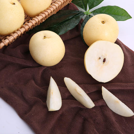 皇冠梨/2斤装 洁白如玉 甜而不腻 商品图3