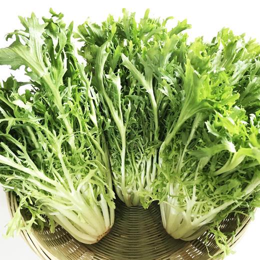 年卡-苦苣300g 商品图0