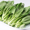 小油菜300g 商品缩略图1