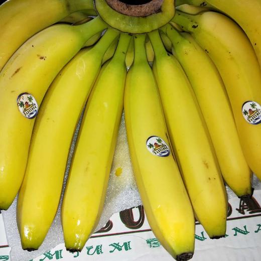 佳沃都乐品牌菲律宾一级香蕉超甜香蕉57根约2斤