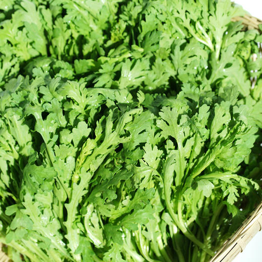 茼蒿 300g 商品图1