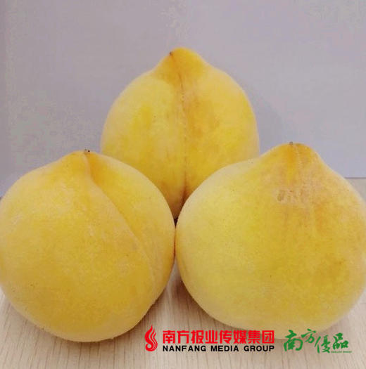山东黄金水蜜桃 4.5斤 商品图3