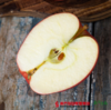 新西兰特级红玫瑰苹果 6个一组（180-220g一个 ）【拍前请看温馨提示】 商品缩略图1