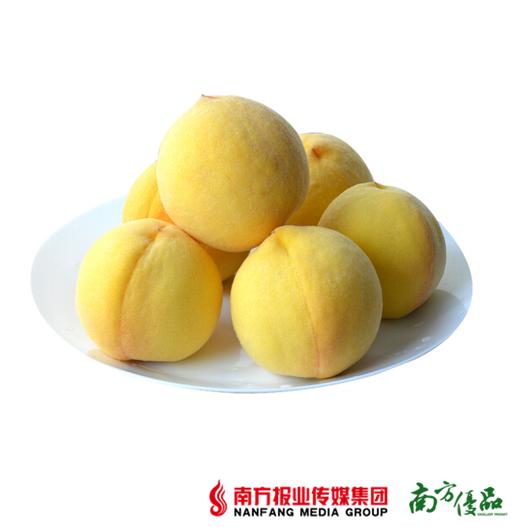 山东黄金水蜜桃 4.5斤 商品图0