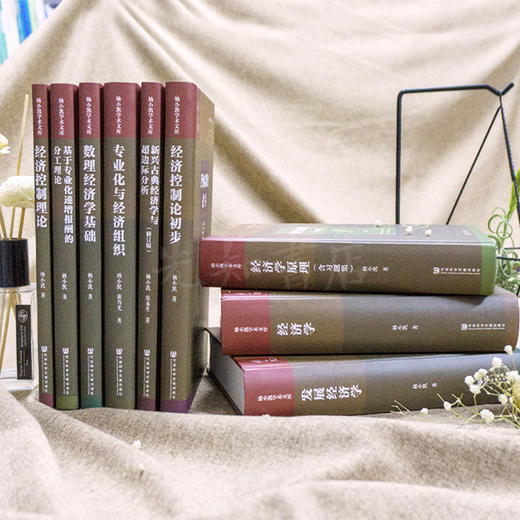 【最后18套】《杨小凯学术文库》典藏九卷 商品图4