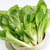 小白菜300g 商品缩略图0