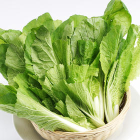 年卡-小白菜300g