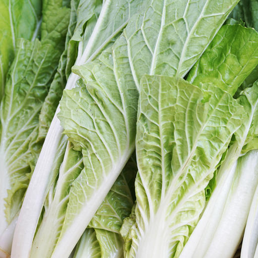 小白菜300g 商品图1