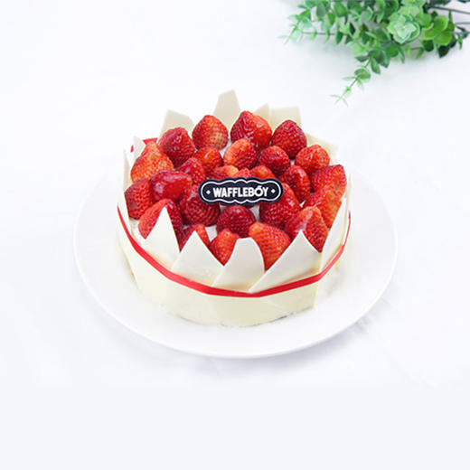 草莓烤芝士蛋糕     仅北京有售 提前48小时预订 商品图0