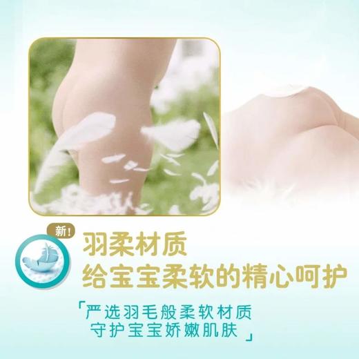 帮宝适拉拉裤XXL（15+kg） 商品图2