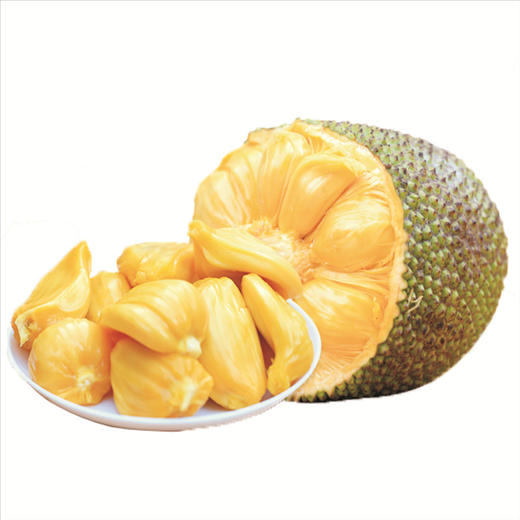 海南菠萝蜜肉 300g/份 香味浓郁 Q弹爽脆 商品图1