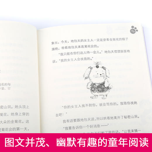 笑猫日记13：绿狗山庄（小学） 商品图4