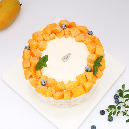 芒果雪域G09（停用） 商品图1