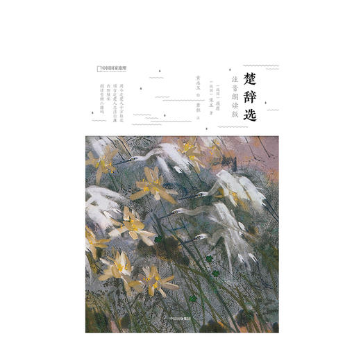 楚辞选：注音朗读版 商品图1