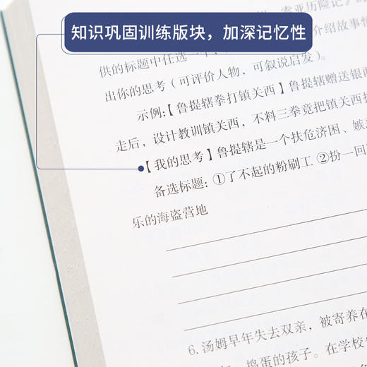 奇遇经典文库-汤姆索亚历险记 中小学生课外阅读书 10-18岁儿童文学 商品图3