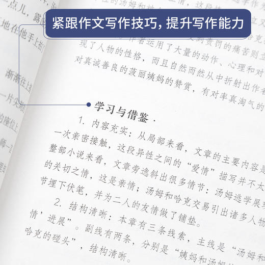 奇遇经典文库-汤姆索亚历险记 中小学生课外阅读书 10-18岁儿童文学 商品图2