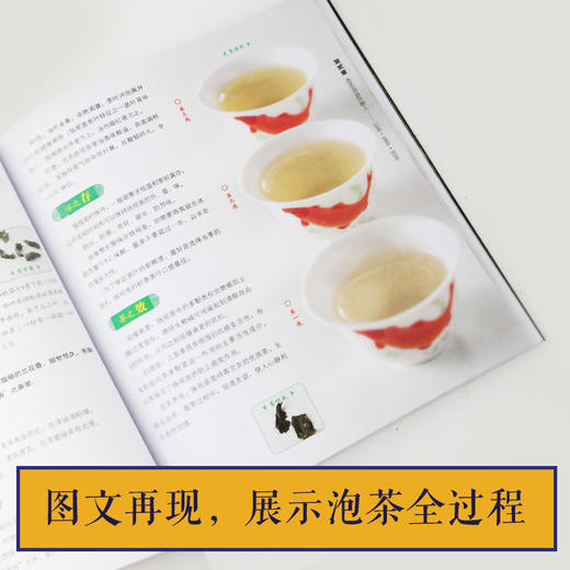 茶书 识茶泡茶品茶书图鉴茶书籍茶文化 入门 茶叶书籍大全知识 品茶茶艺书籍茶书茶经书茶书籍大全茶文化茶道茶艺书中国茶文化书籍 商品图4