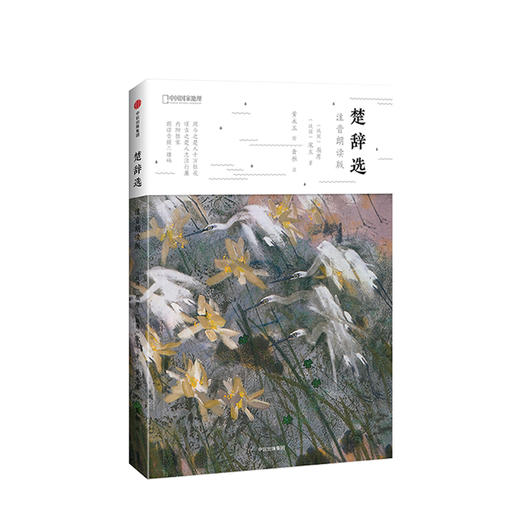 楚辞选：注音朗读版 商品图0