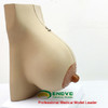 现货速发【医教模型】ENOVO颐诺乳房模型-女性哺乳期乳腺解剖模型 商品缩略图1