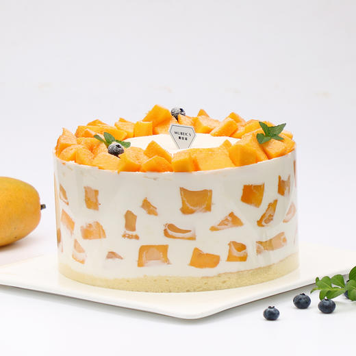 芒果雪域G09（停用） 商品图2