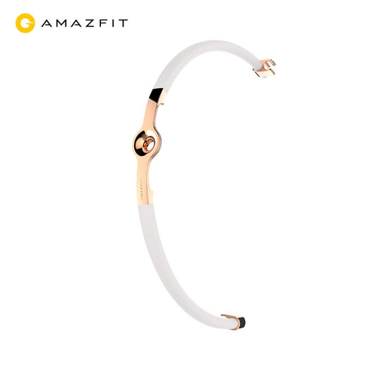 Amazfit 智能手环配件 赤道腕带金色 商品图3