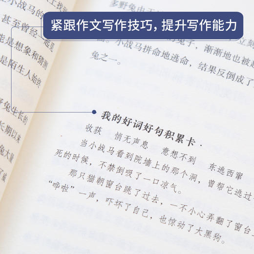 奇遇经典文库-西顿动物故事选 中小学生课外阅读书 10-18岁儿童文学 商品图3