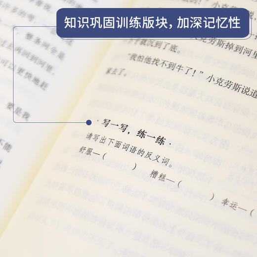 奇遇经典文库-安徒生童话 中小学生课外阅读书 10-18岁儿童文学 商品图2